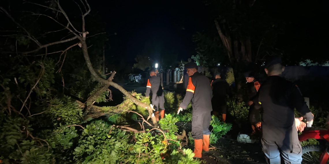 Brimob Polda Sumut Sigap Evakuasi Pohon Tumbang, Wujud Nyata Kehadiran di Tengah Masyarakat Pematangsiantar