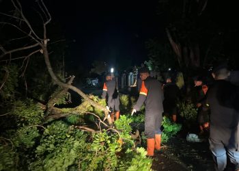 Brimob Polda Sumut Sigap Evakuasi Pohon Tumbang, Wujud Nyata Kehadiran di Tengah Masyarakat Pematangsiantar